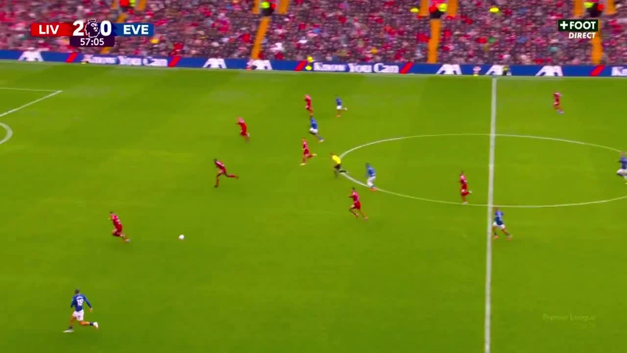 zaslepka skrotu video