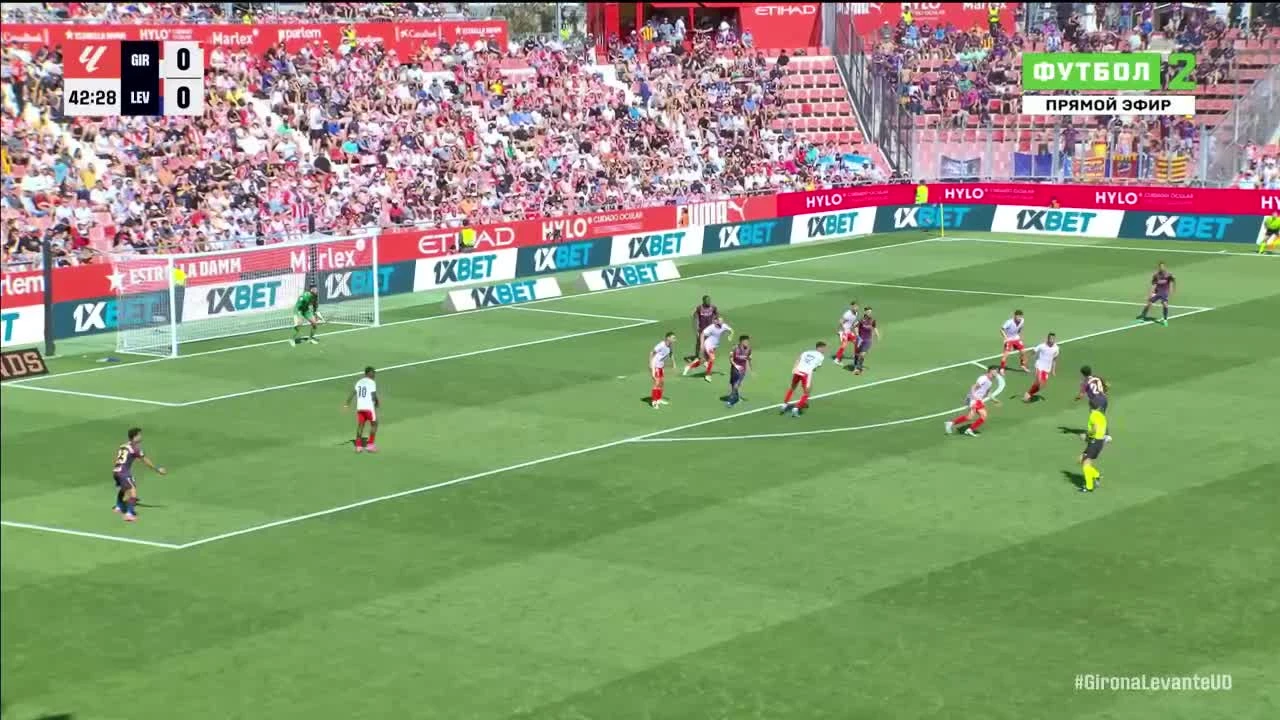 zaslepka skrotu video