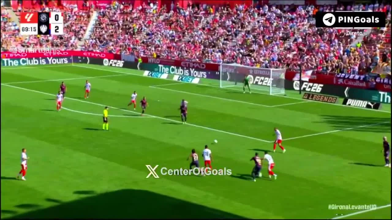 zaslepka skrotu video