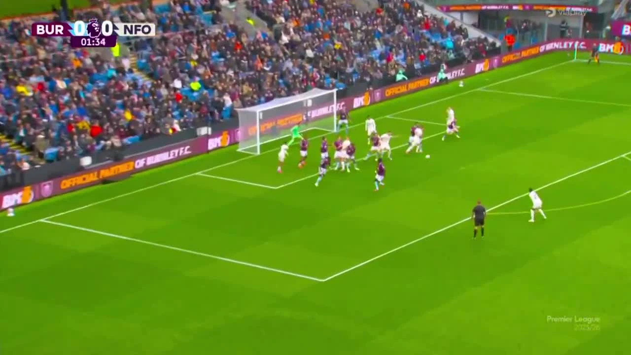 zaslepka skrotu video