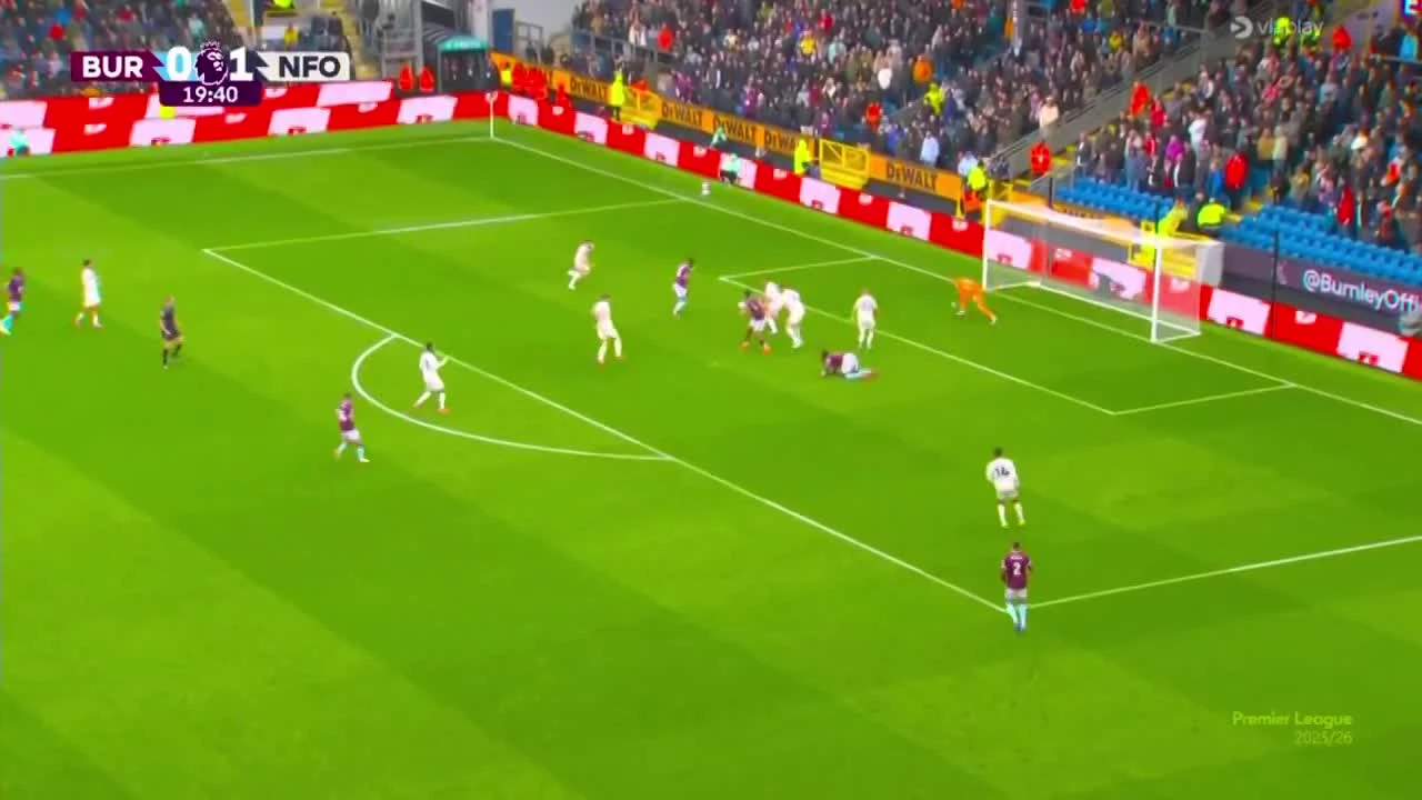 zaslepka skrotu video