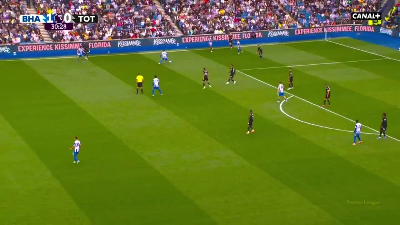 zaslepka skrotu video
