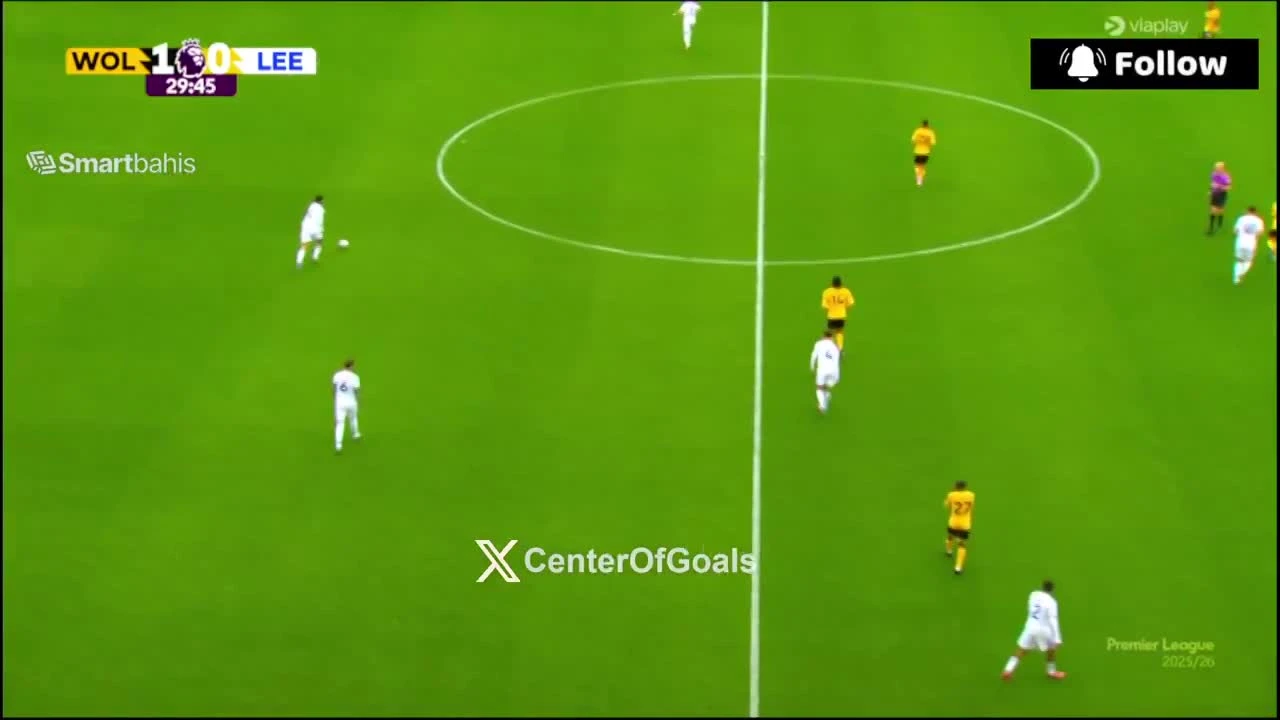 zaslepka skrotu video