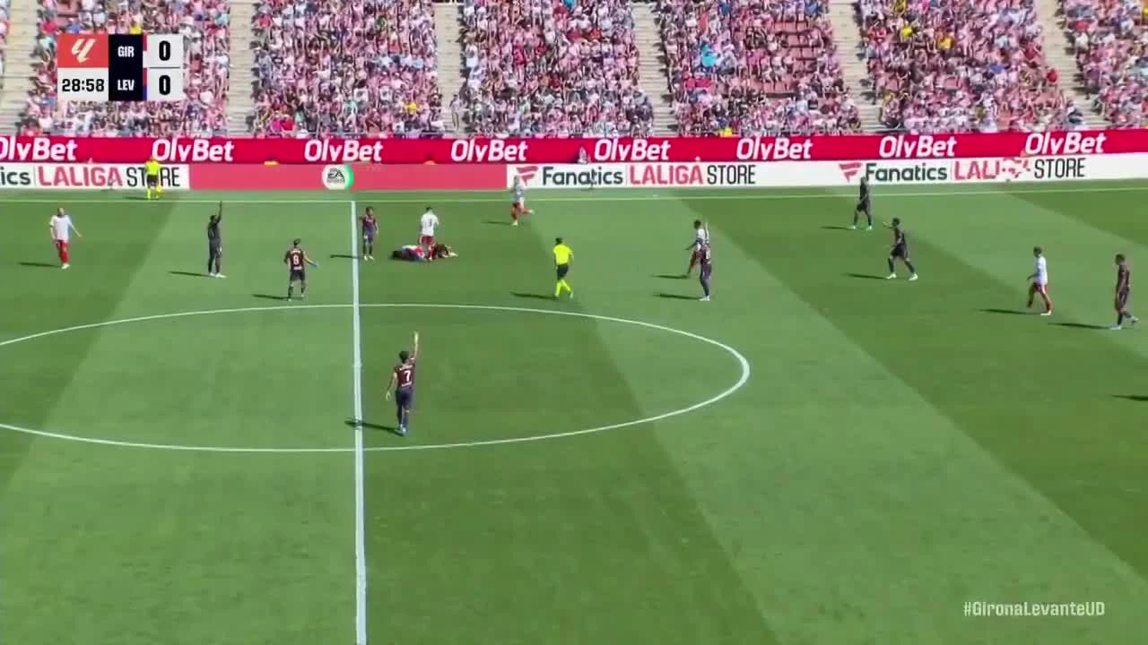 zaslepka skrotu video