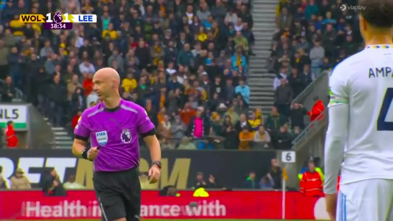 zaslepka skrotu video