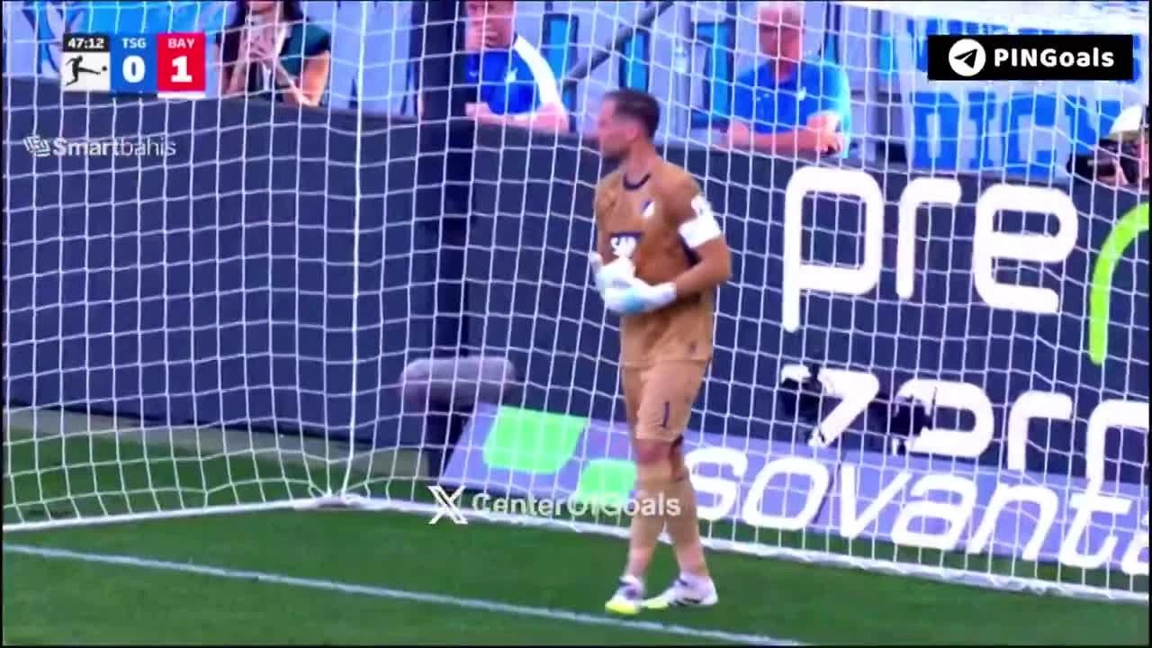 zaslepka skrotu video