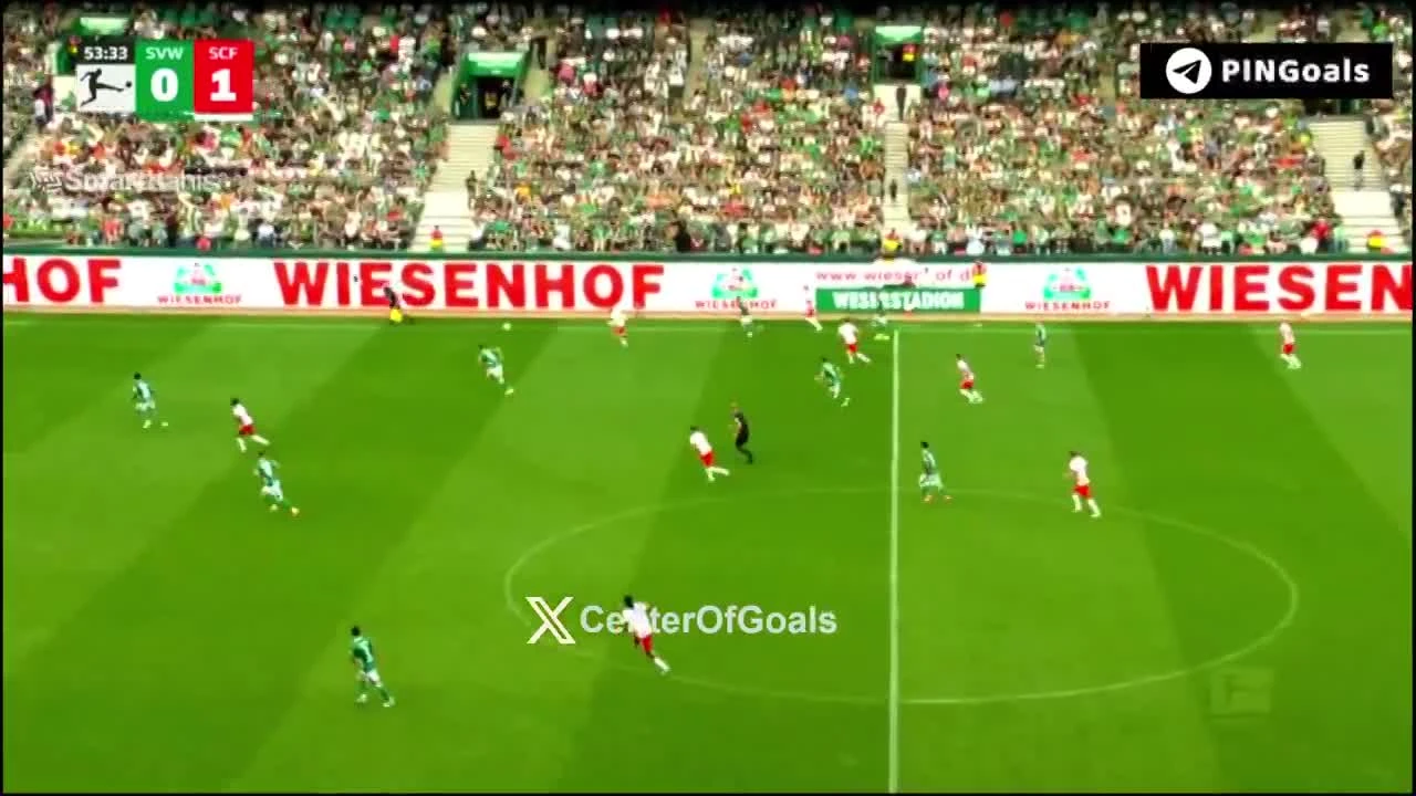 zaslepka skrotu video
