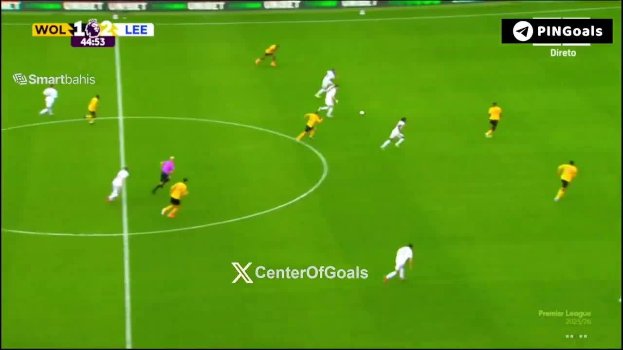 zaslepka skrotu video