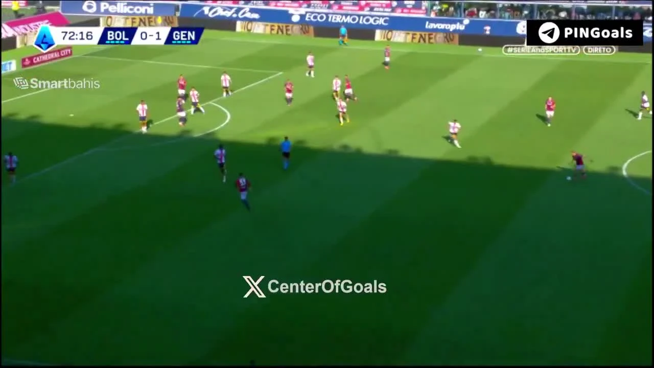 zaslepka skrotu video