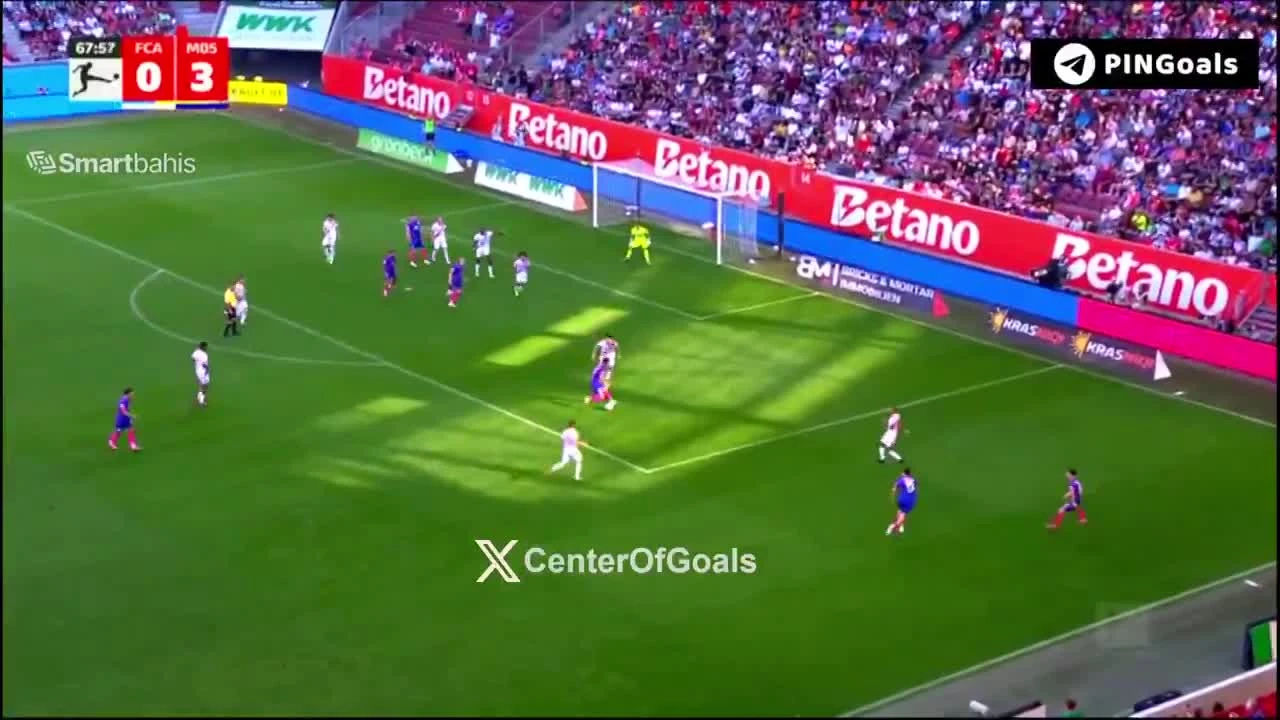 zaslepka skrotu video