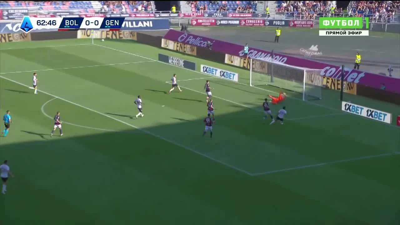 zaslepka skrotu video