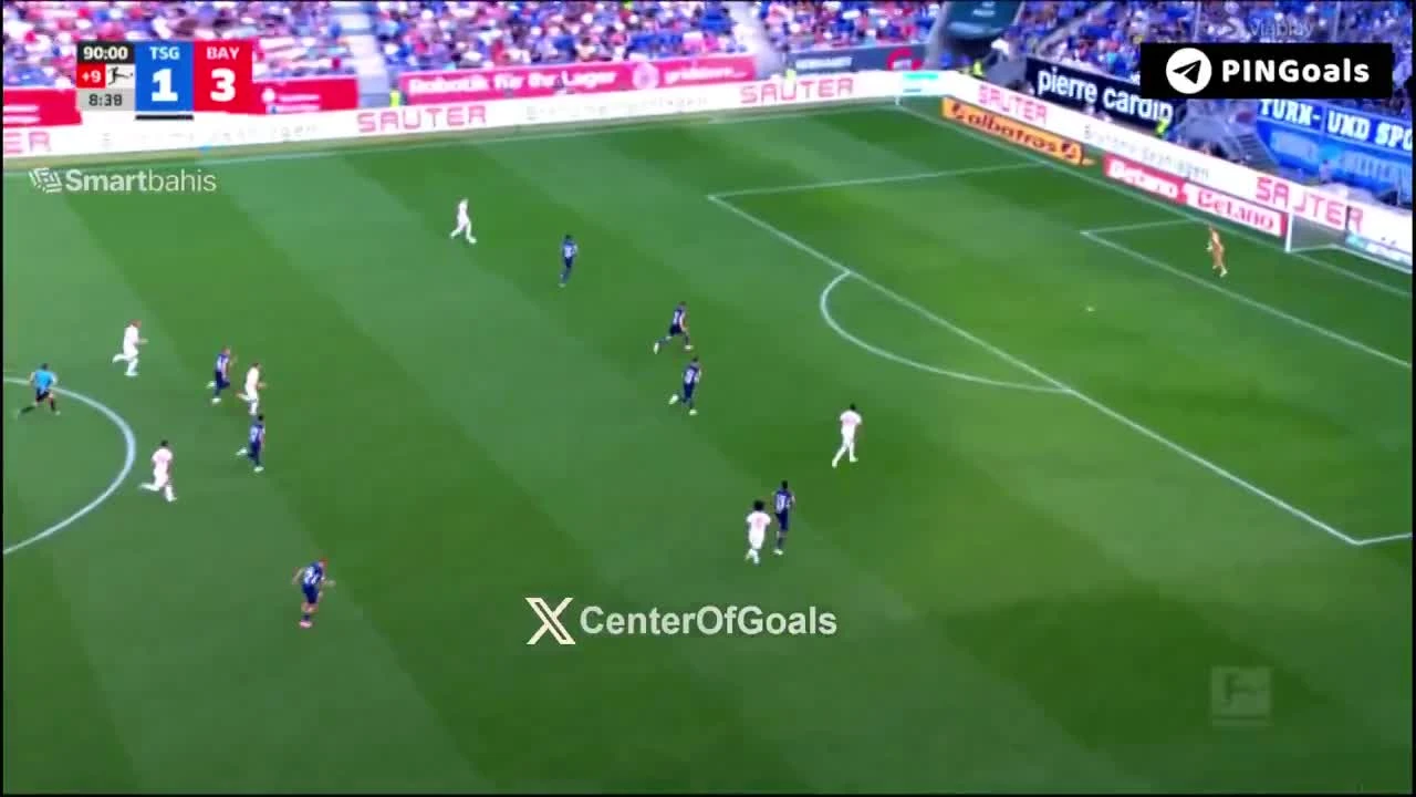 zaslepka skrotu video