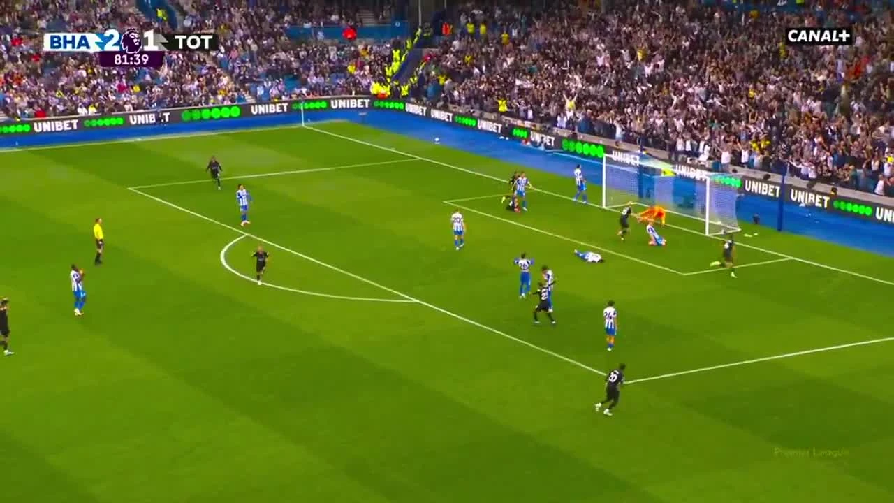 zaslepka skrotu video
