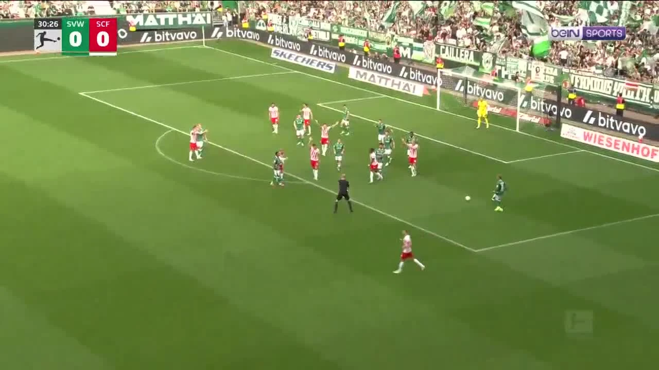 zaslepka skrotu video