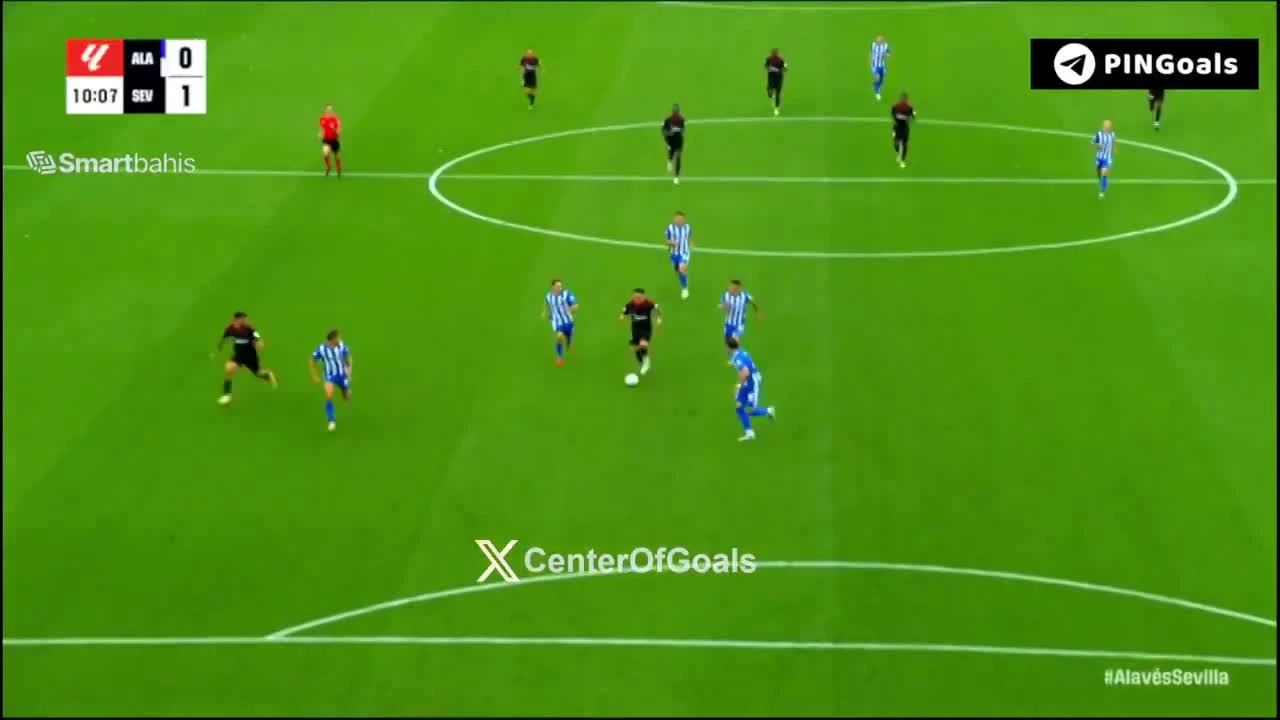 zaslepka skrotu video