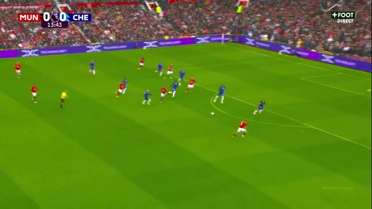 zaslepka skrotu video