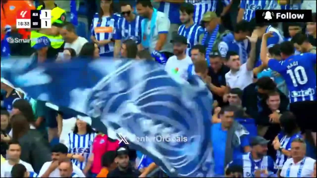 zaslepka skrotu video