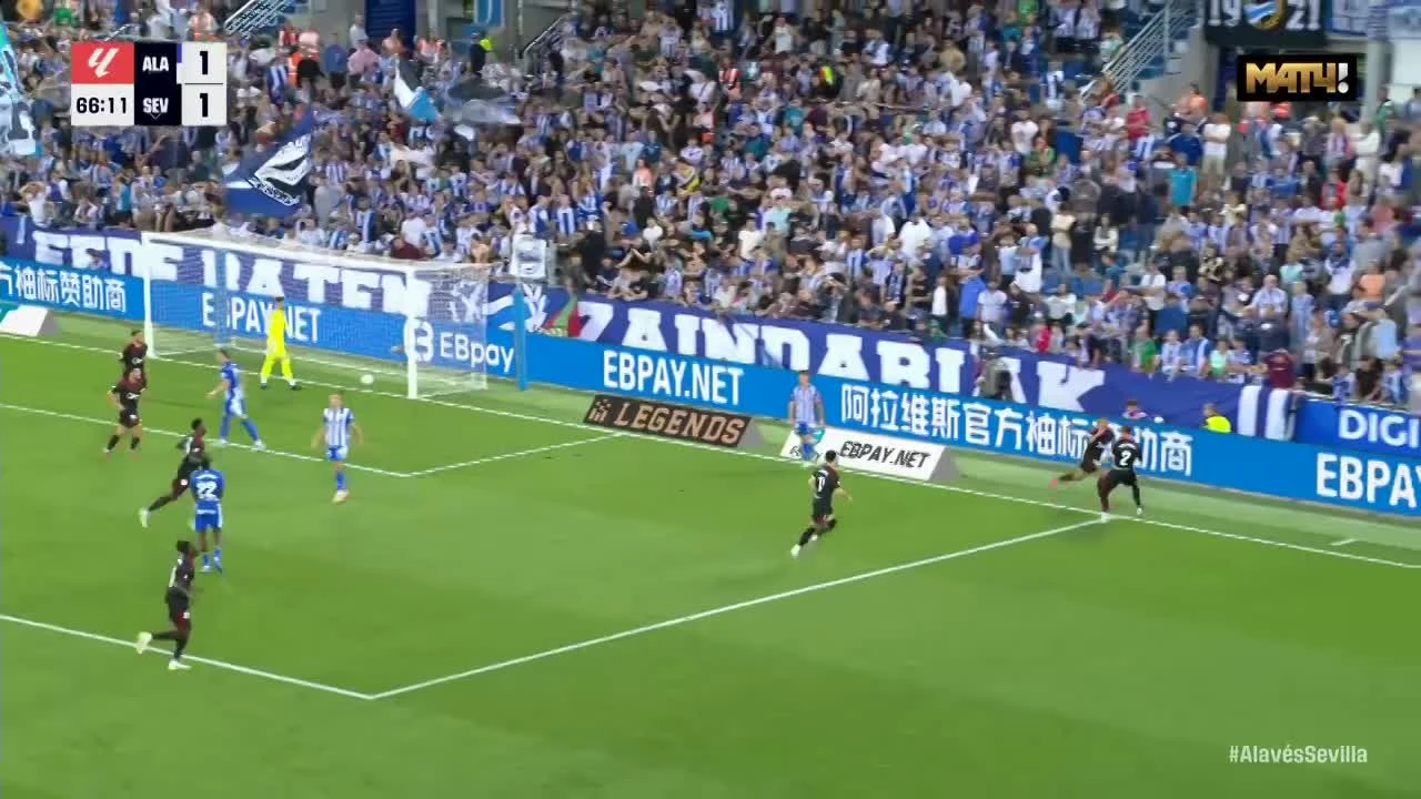 zaslepka skrotu video