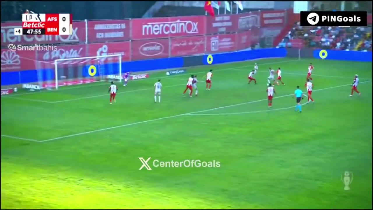 zaslepka skrotu video