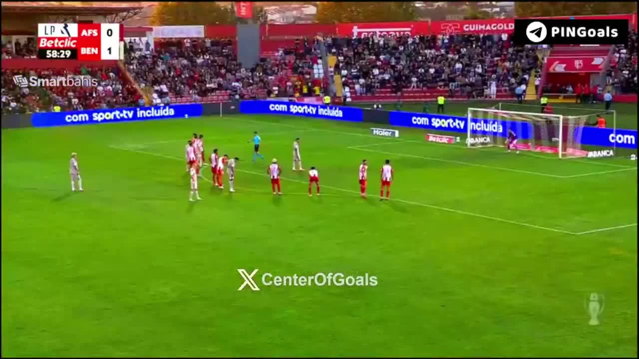 zaslepka skrotu video