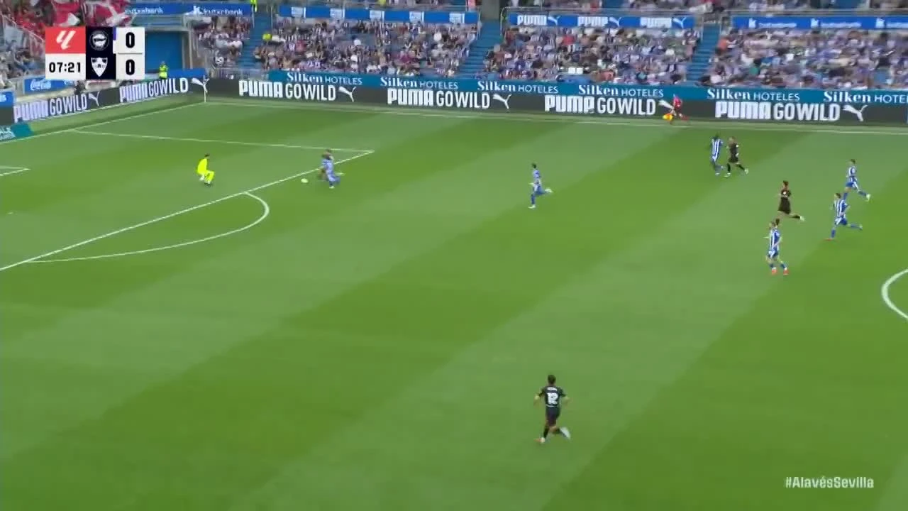 zaslepka skrotu video