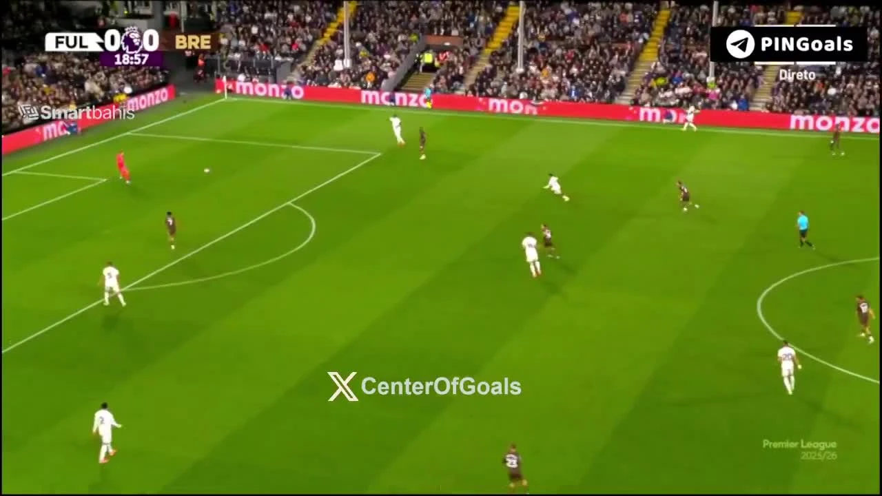 zaslepka skrotu video