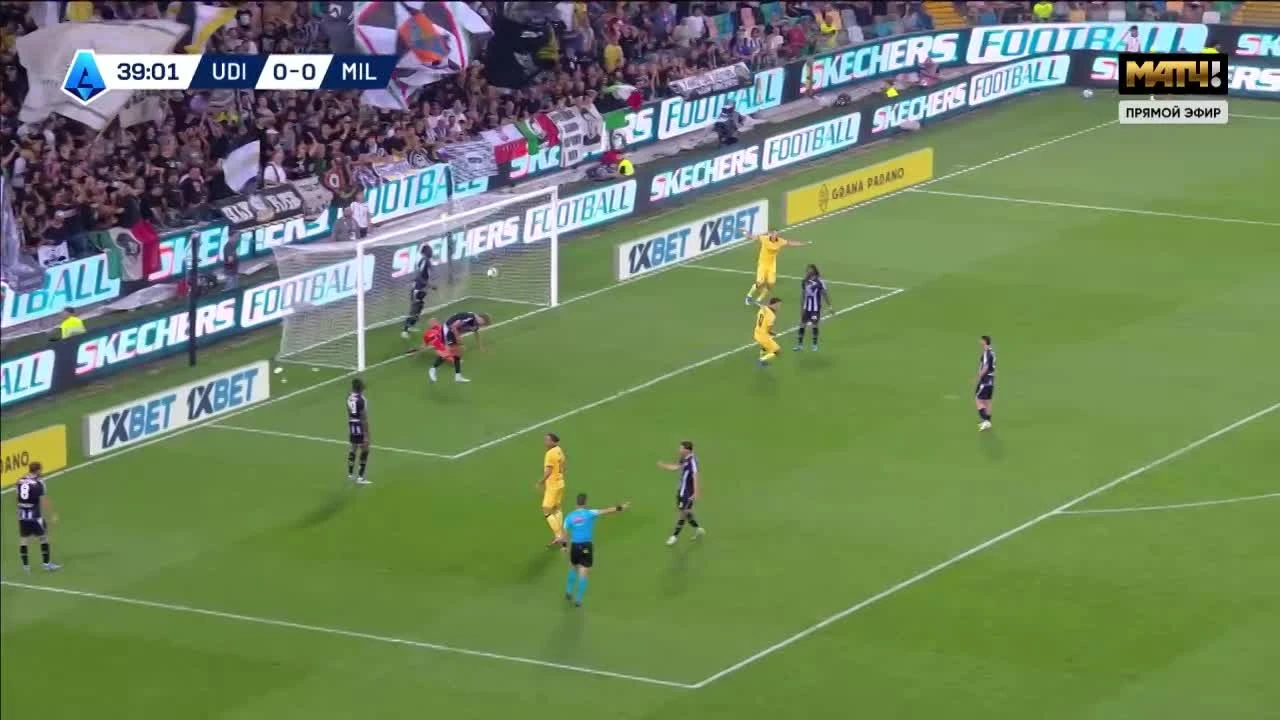 zaslepka skrotu video