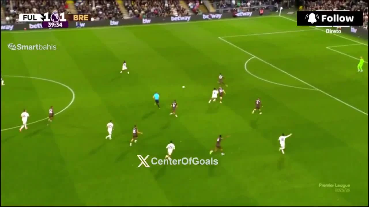 zaslepka skrotu video
