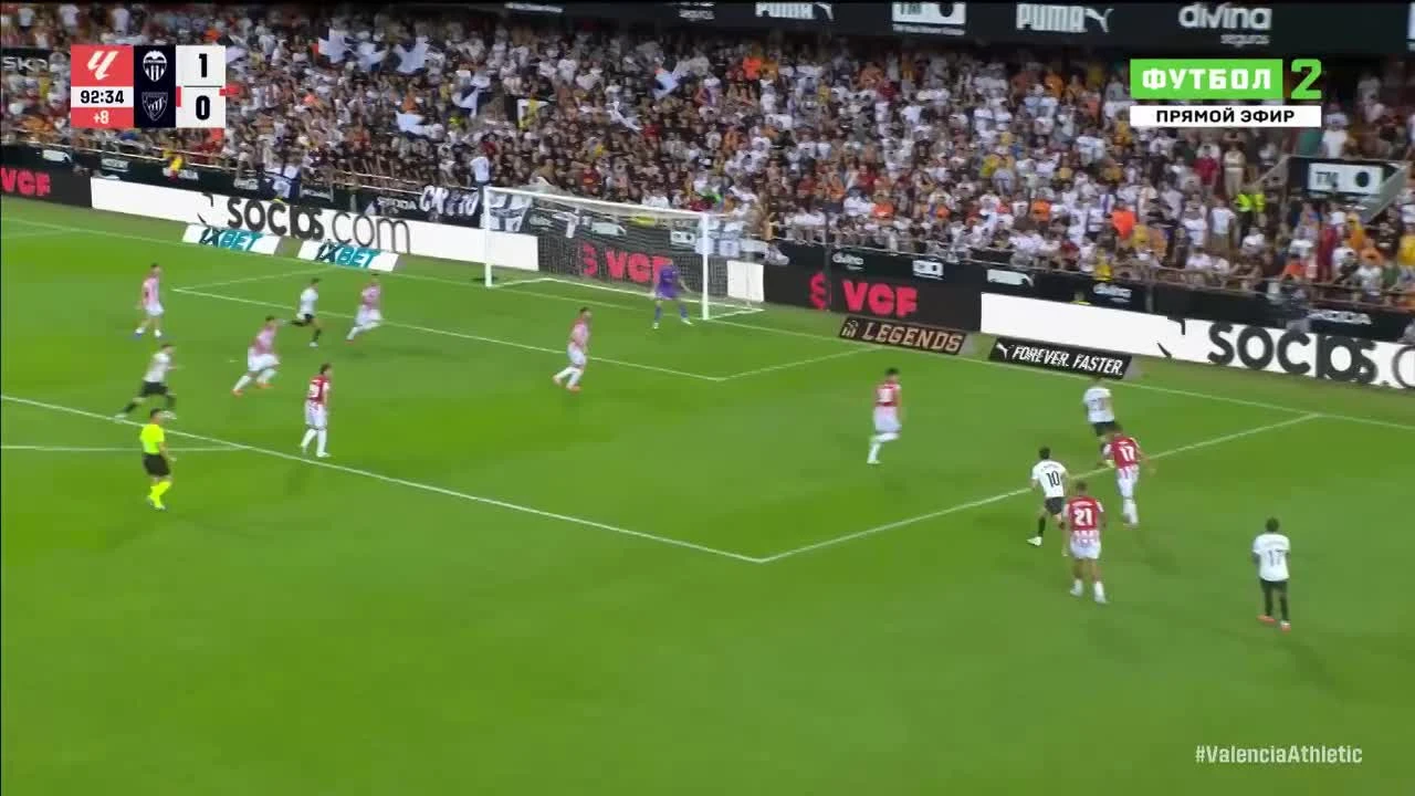 zaslepka skrotu video