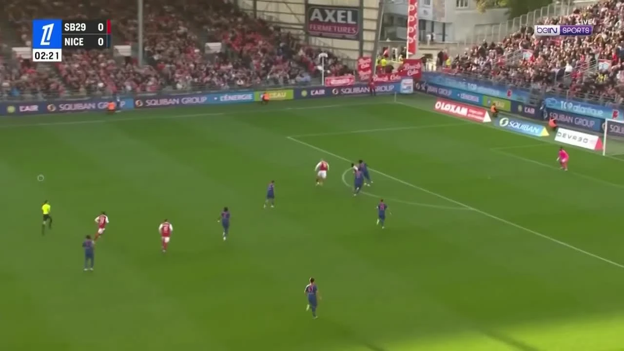 zaslepka skrotu video