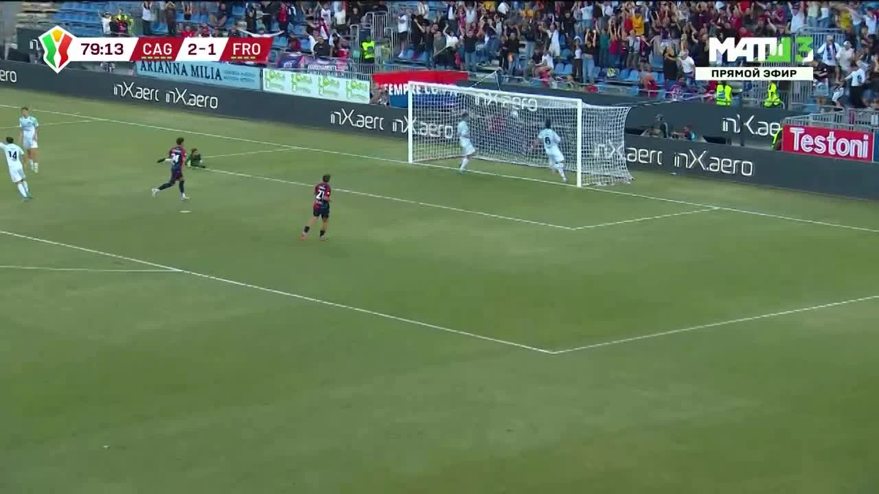 zaslepka skrotu video