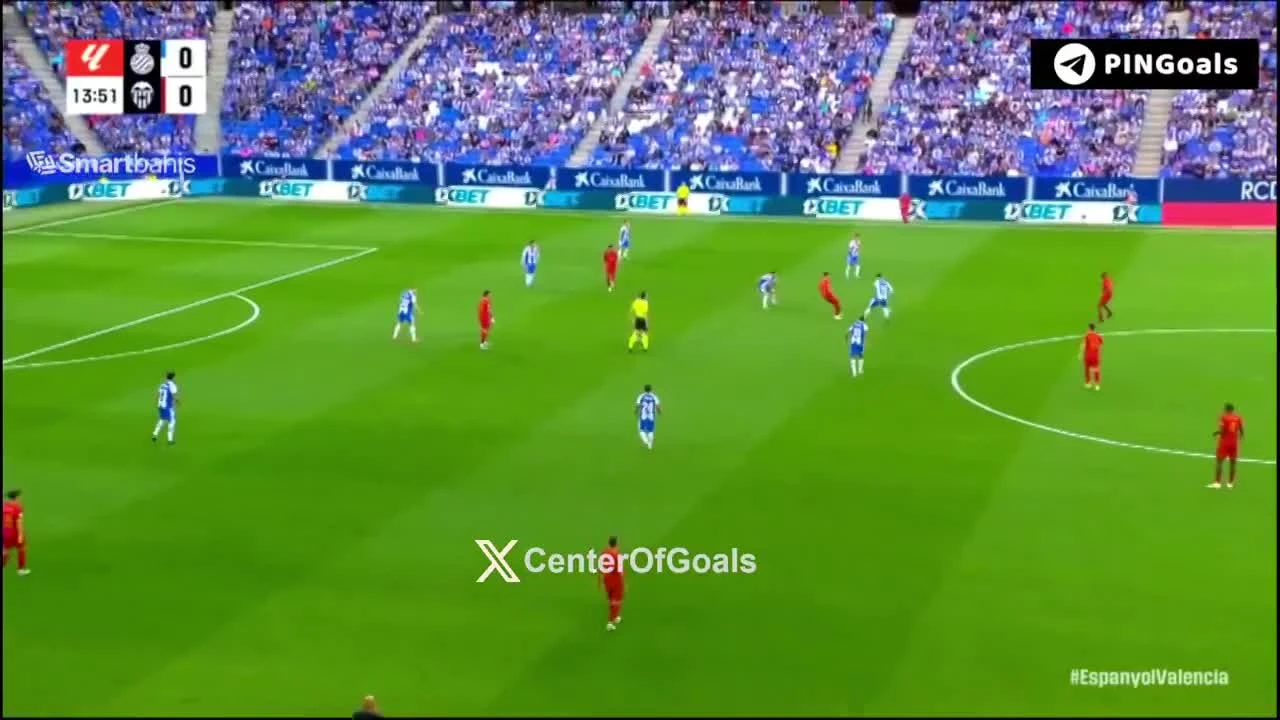 zaslepka skrotu video