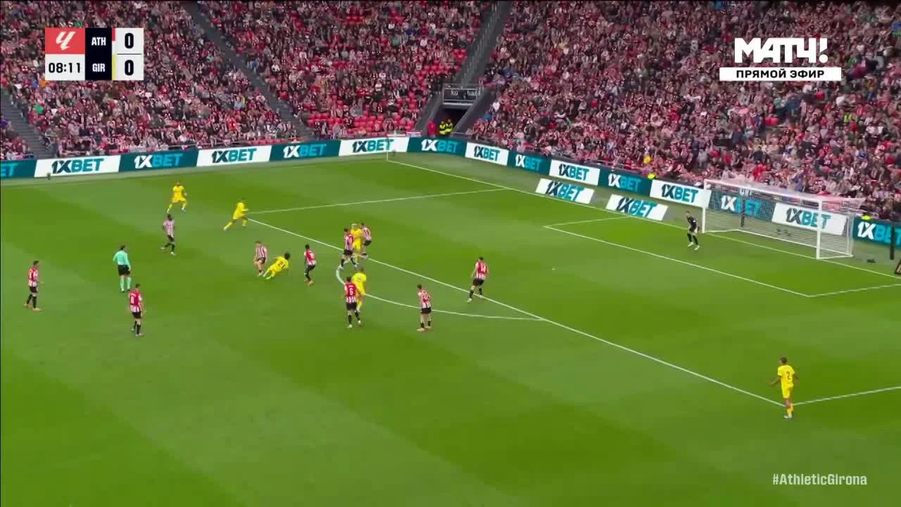 zaslepka skrotu video