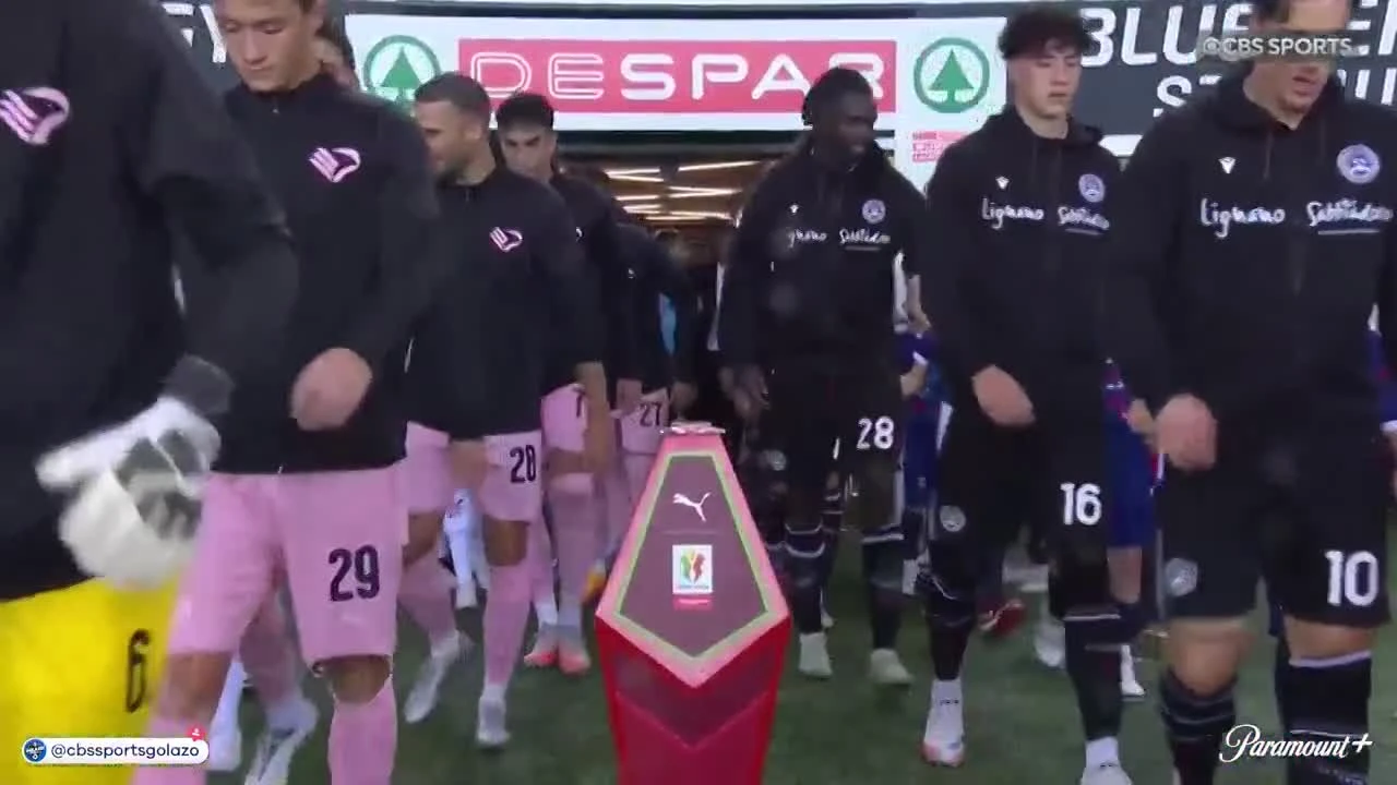 zaslepka skrotu video