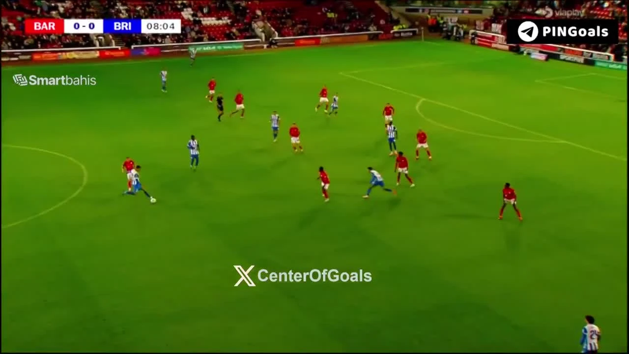 zaslepka skrotu video