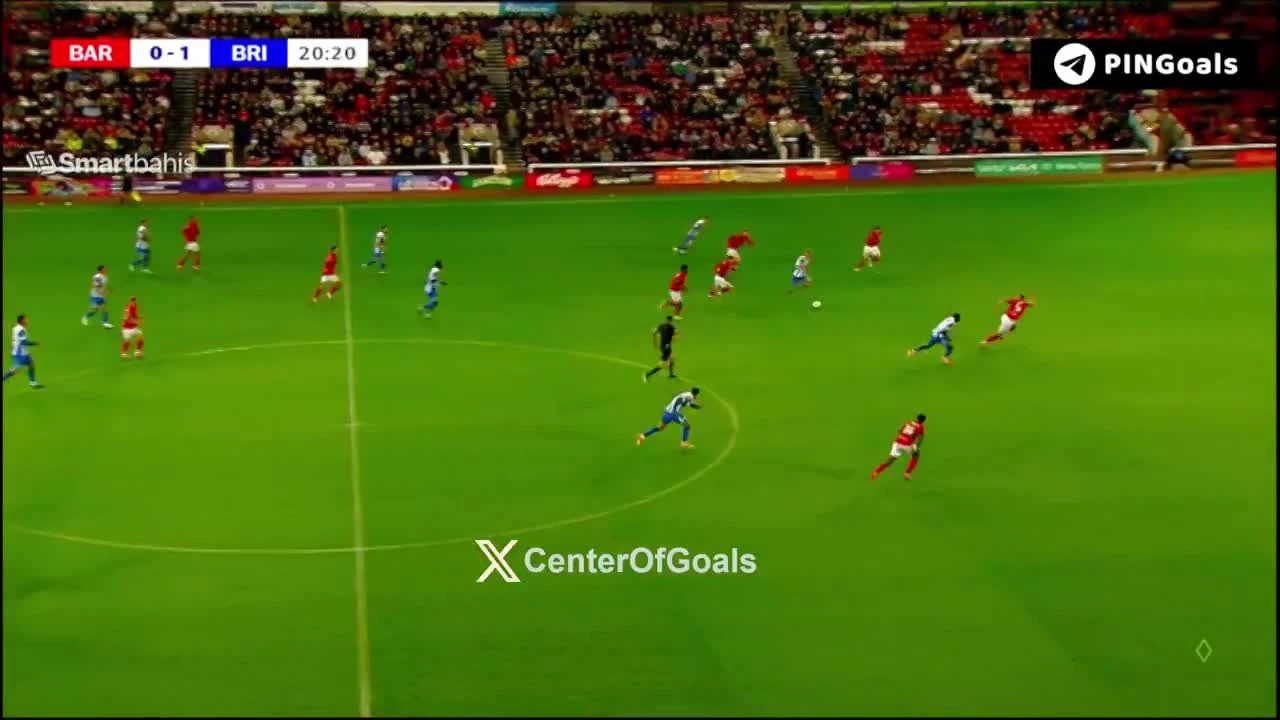 zaslepka skrotu video