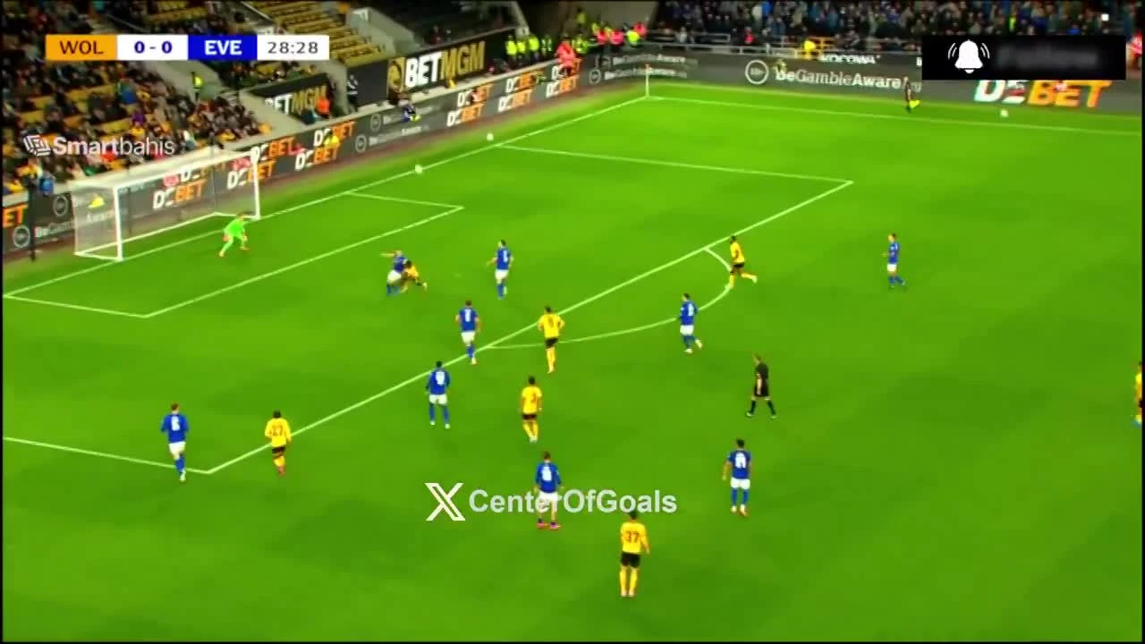 zaslepka skrotu video