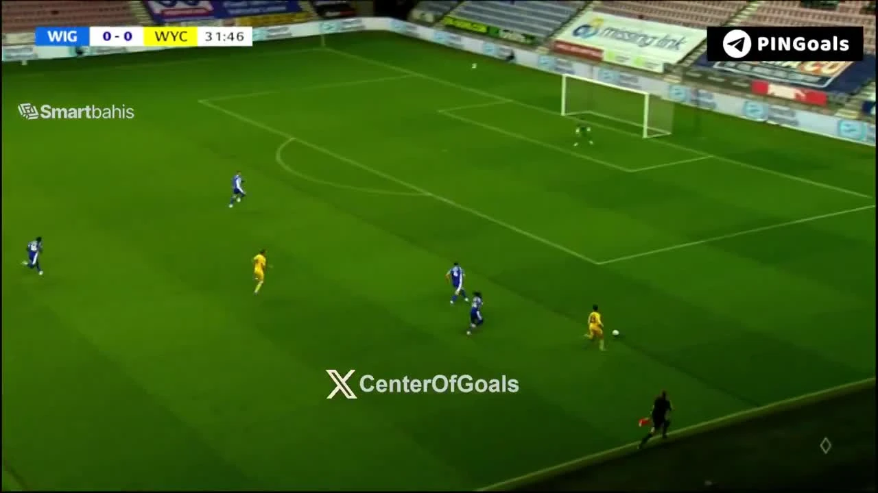 zaslepka skrotu video