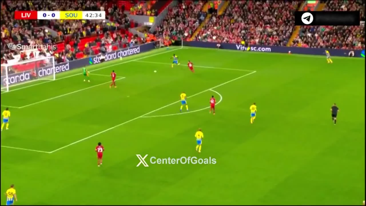 zaslepka skrotu video