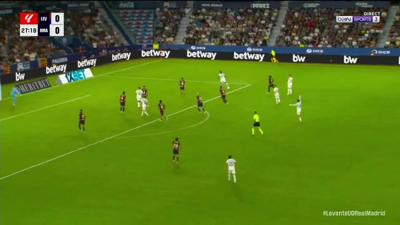 zaslepka skrotu video