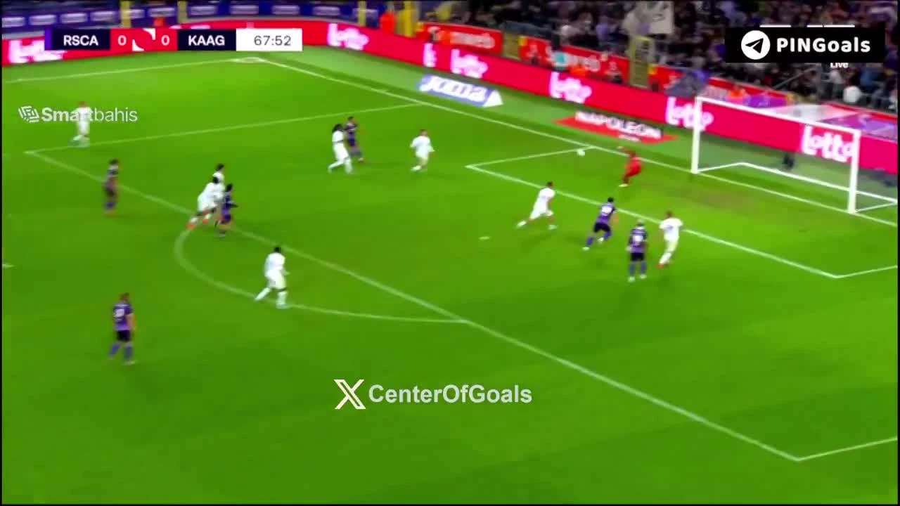 zaslepka skrotu video