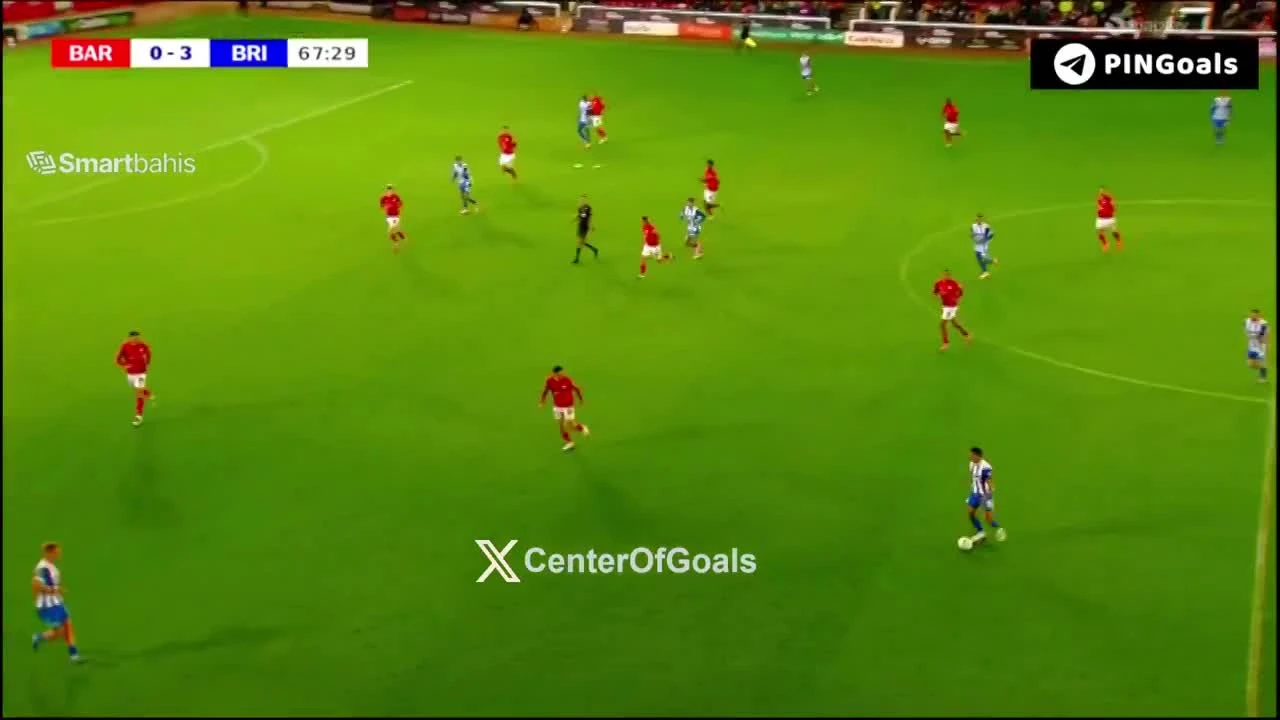 zaslepka skrotu video