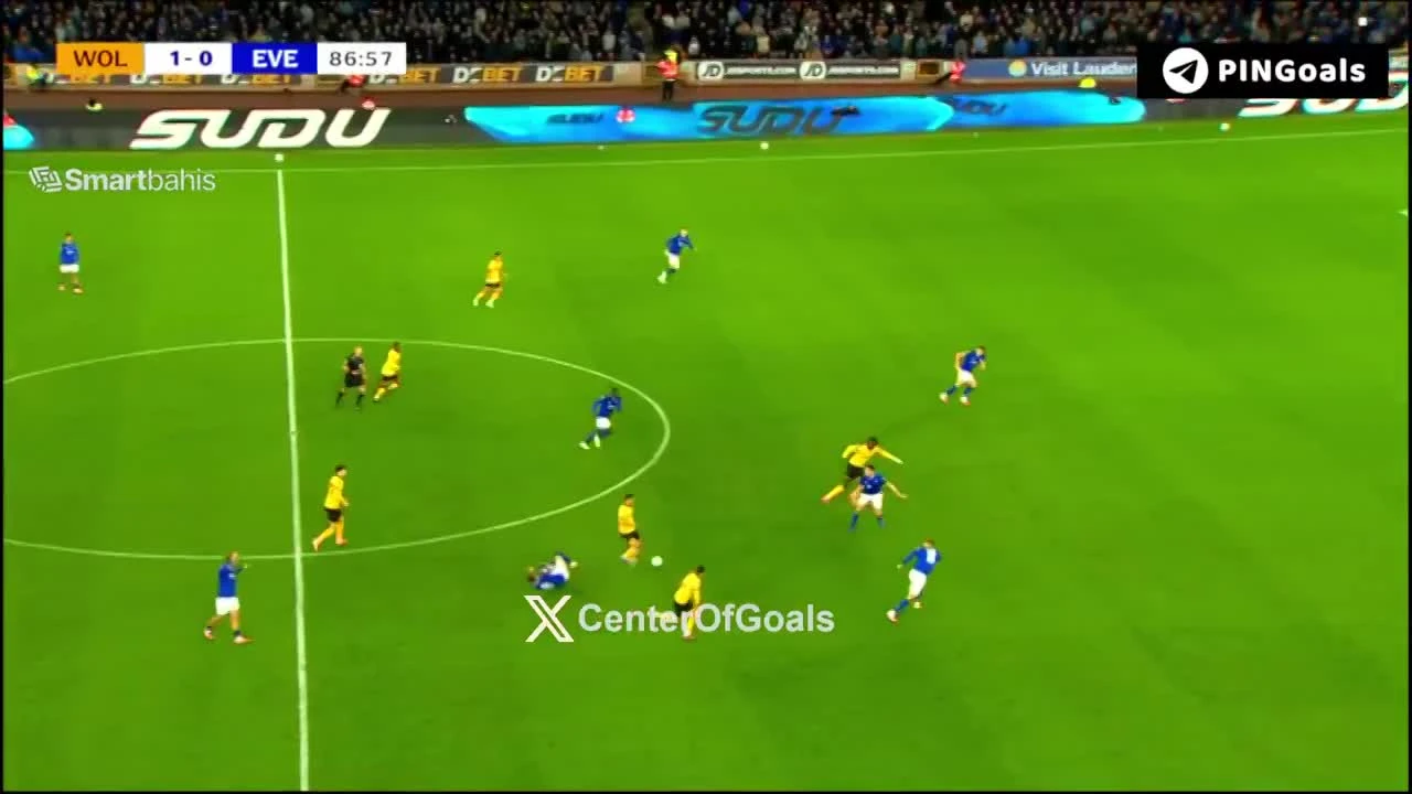 zaslepka skrotu video