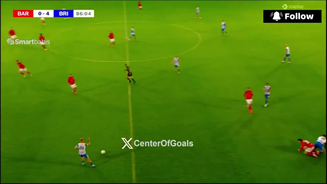 zaslepka skrotu video