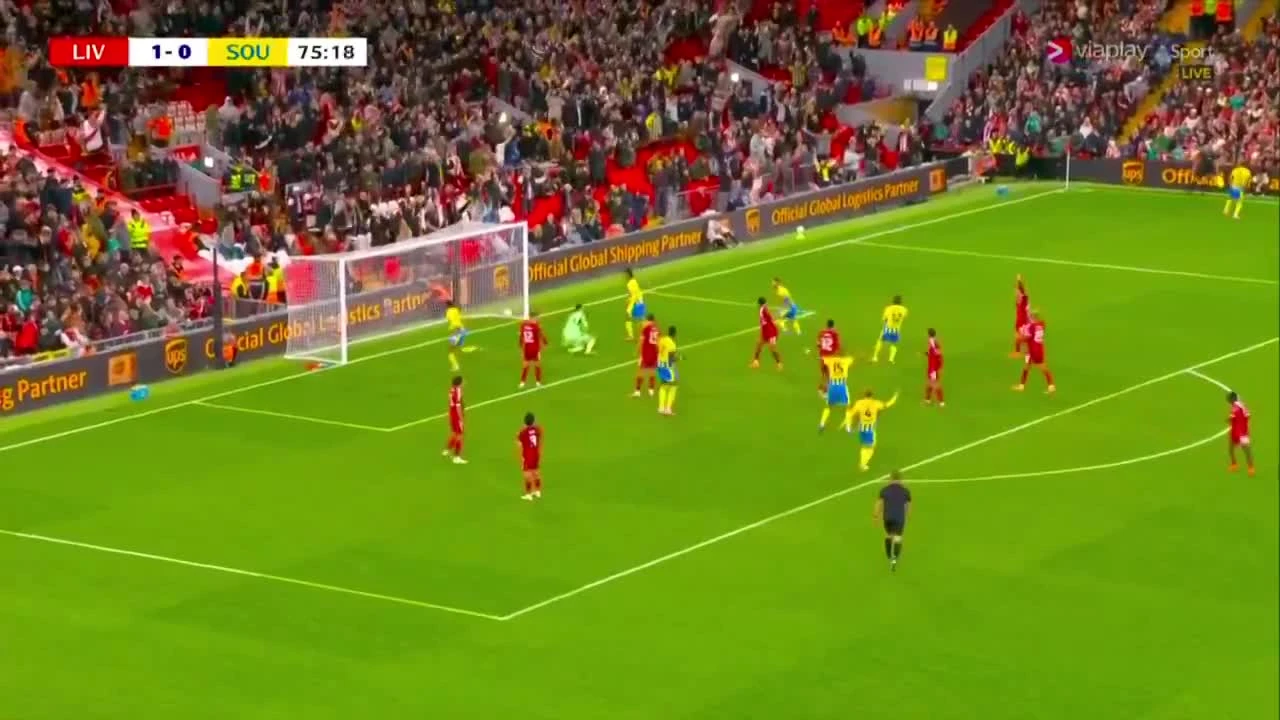 zaslepka skrotu video