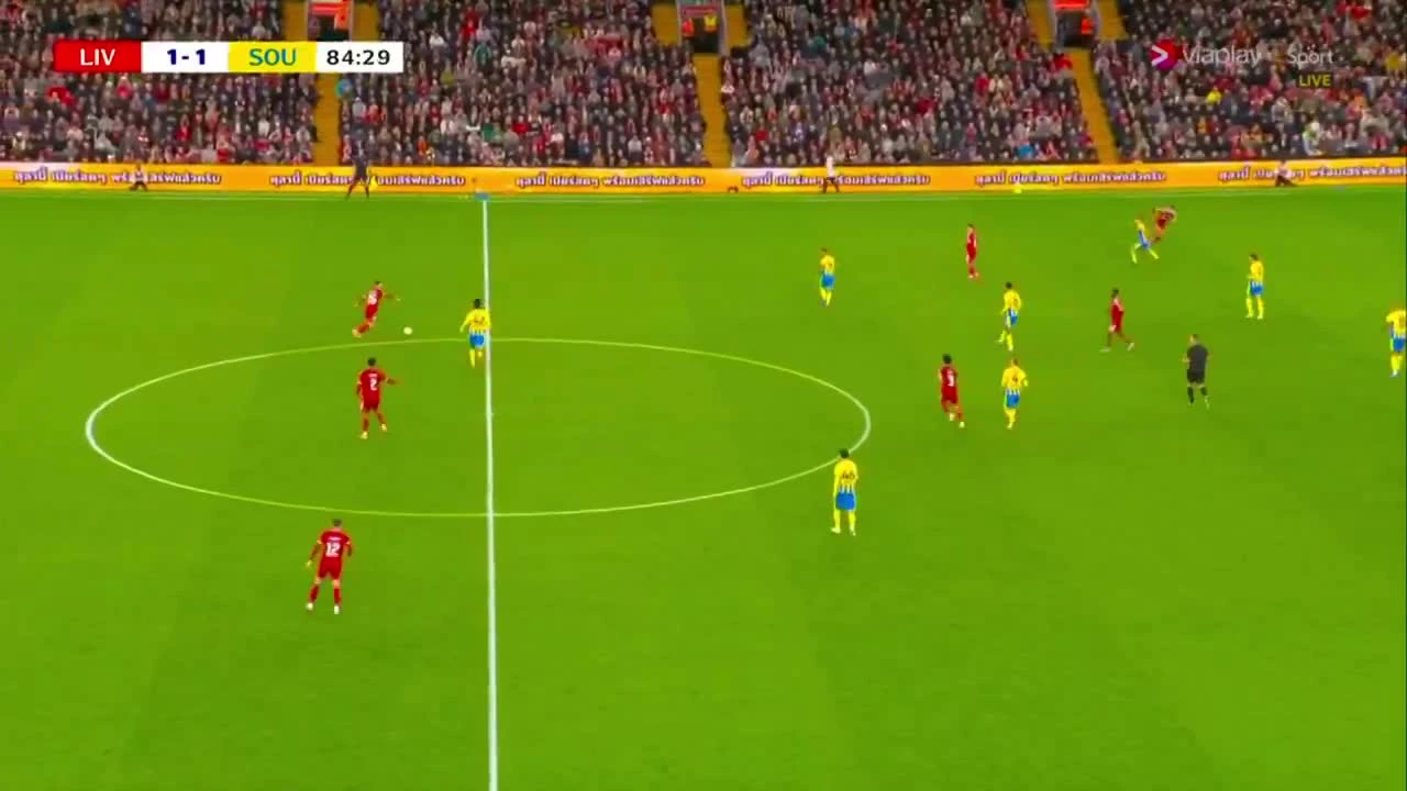 zaslepka skrotu video