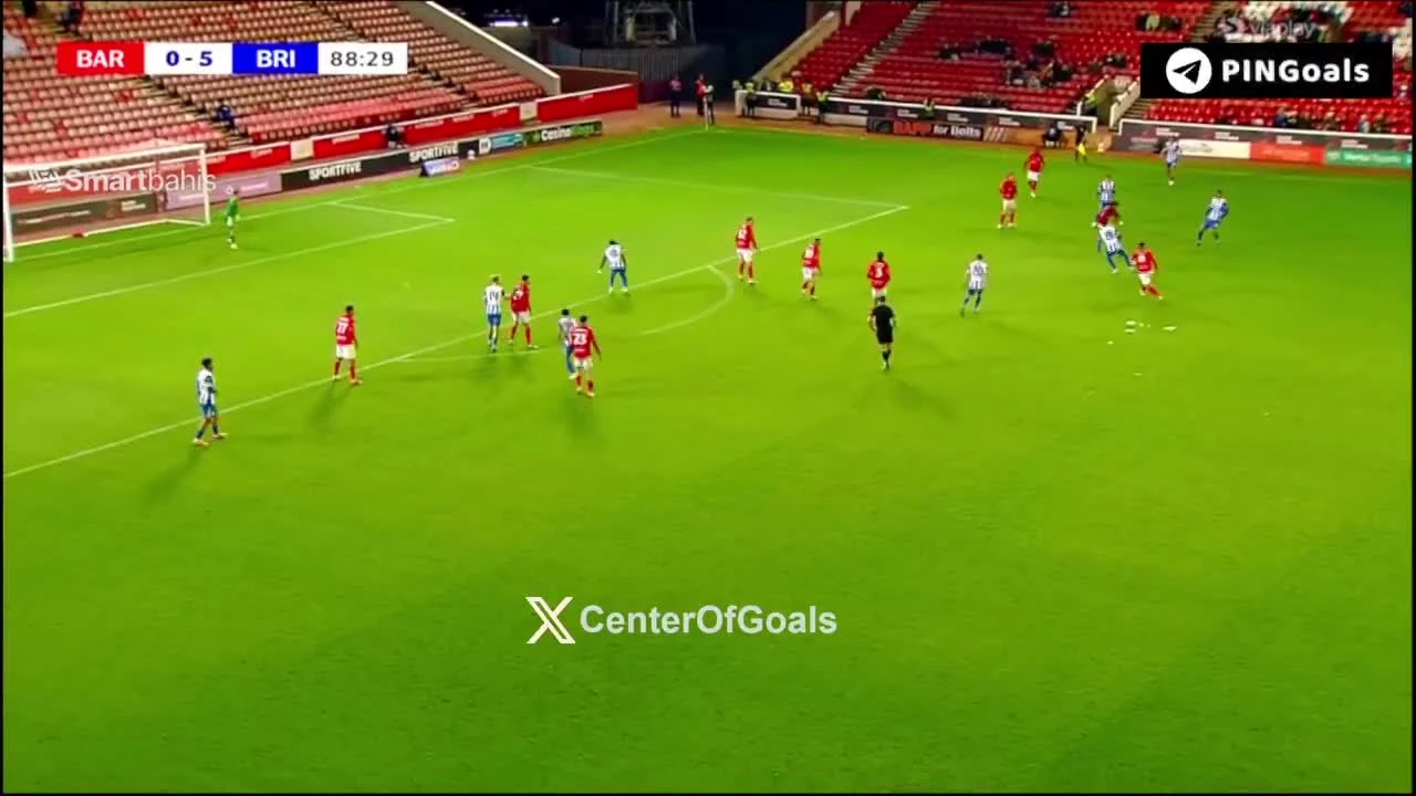 zaslepka skrotu video