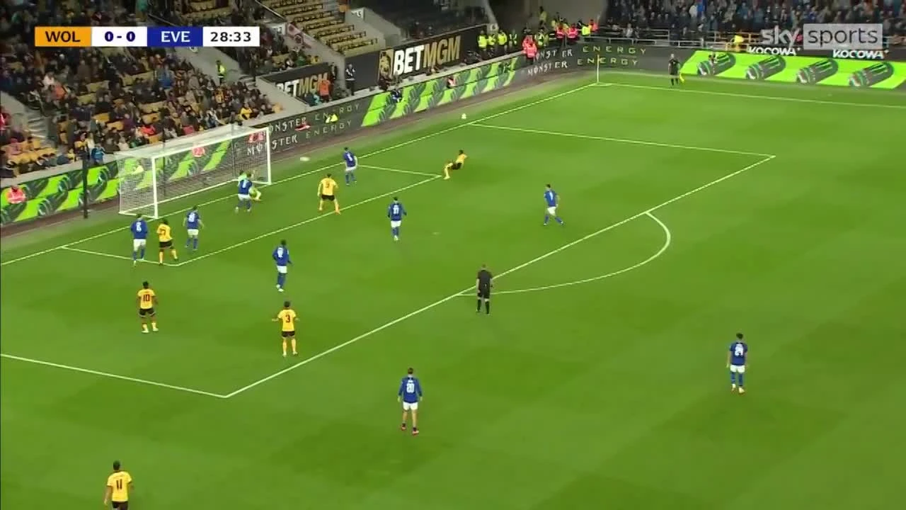 zaslepka skrotu video