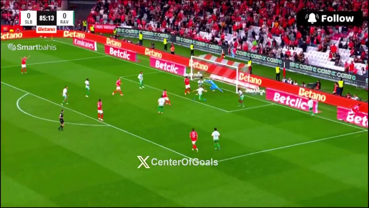 zaslepka skrotu video