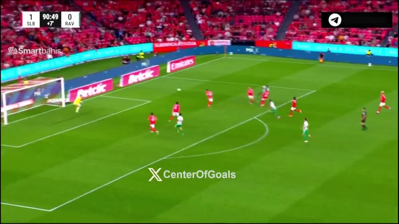 zaslepka skrotu video